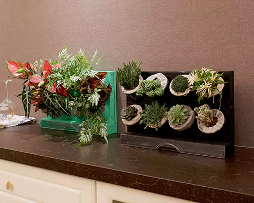 알록달록한 화분 덕분에 식물들이 매일 휴가를 떠나는 듯한 기분이 들어요