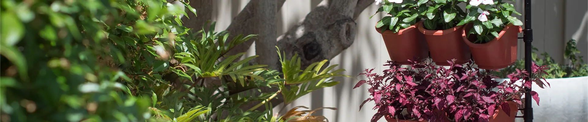 에코 원예 수직 정원