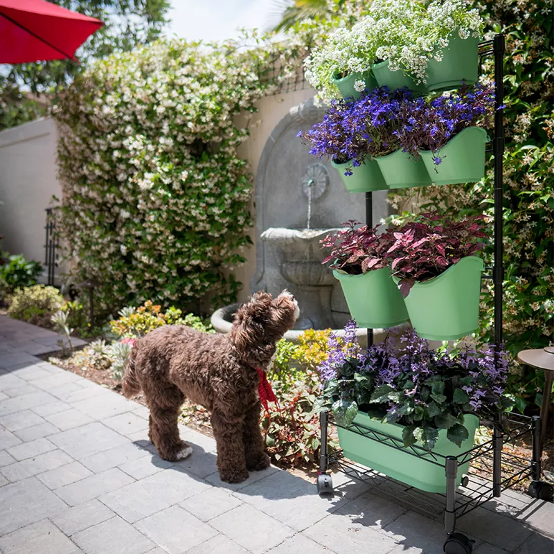 금속 모바일 녹색 벽 이중 프레임